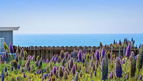 Sunset Escape - Foto 3