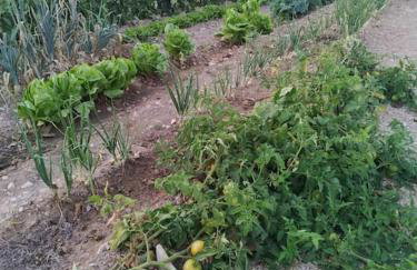 Casa Lorena - Foto 43