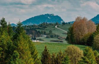 Domek Bajkowy Widok - Foto 76