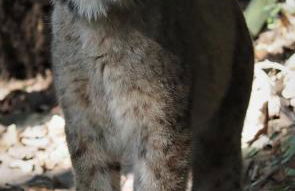 FeWo in ruhiger Lage am Wanderweg zum Lilienstein - Foto 19