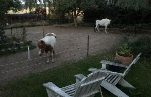 Ferienwohnung Alte Scheune - Foto 9