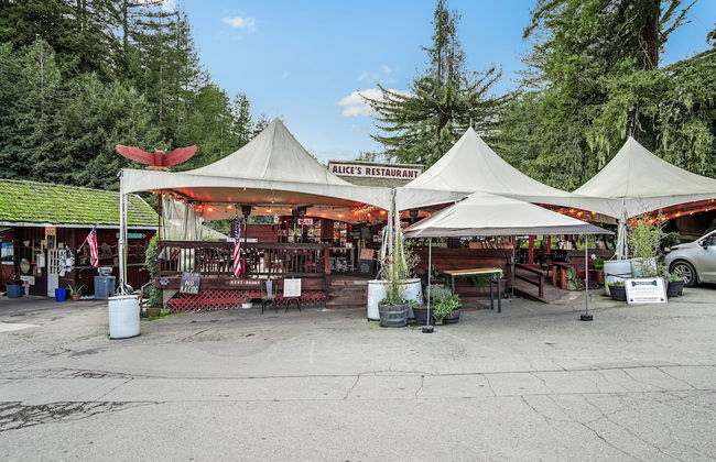 Pacific Coast Redwoods Cabin for Family - Foto 45