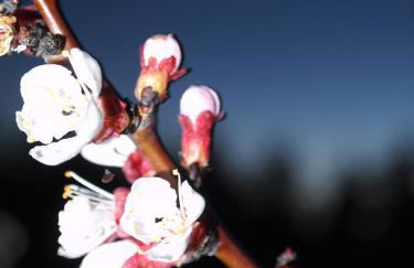 Agriturismo Il Magicorto - Photo 12