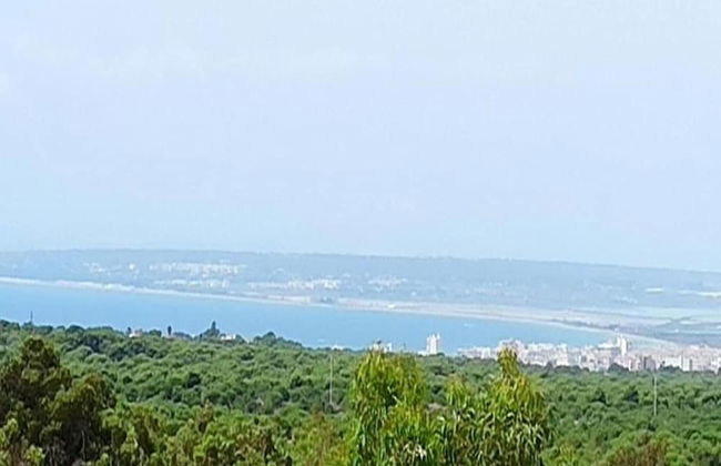 Relaxing Villa Near Carabassi - Foto 40