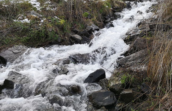 Ferienhof Schmickerath - Foto 39