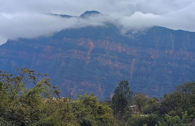 Entre Mangos y Tucanes - Foto 14