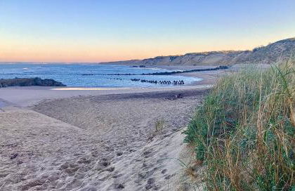 Villa Saint Vivien - Foto 11