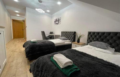 Mały Książę - Foto 15