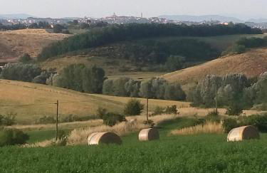 Villa Poggio al Sole Bio Agriturismo private pool - Foto 47