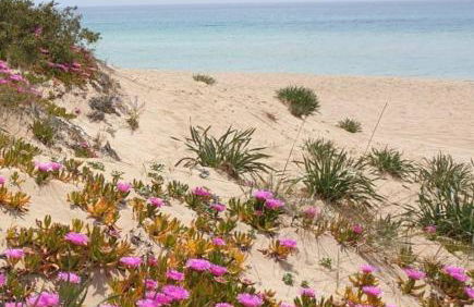 MAGIA Salento - Foto 36