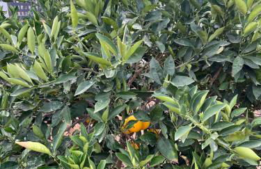 Casa El granero de Antonio - Foto 77