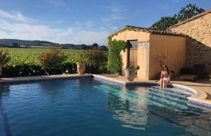 La Rose des Vins - Photo 4