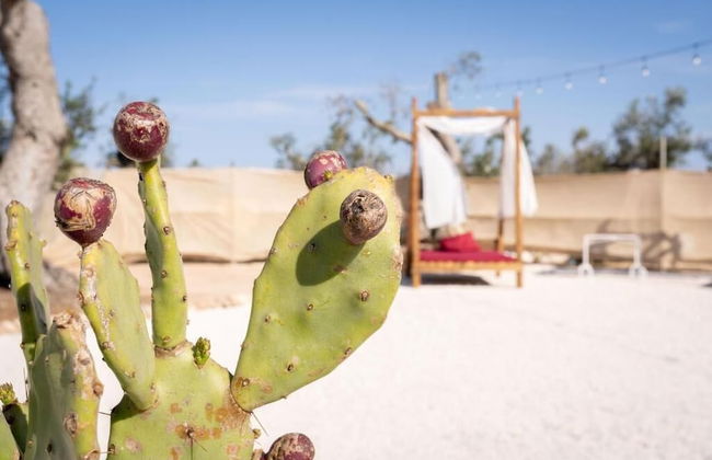 Tenuta Puloni - Foto 26