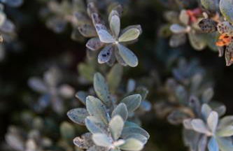 Glaros Kouremenos - Photo 30