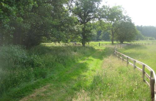 Blackberry Lodge - Foto 5