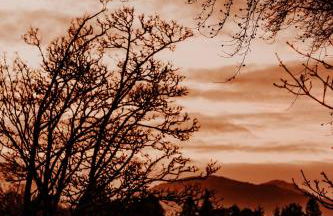 Luxurious mountain retreat lodge Hunters Quay - Foto 27