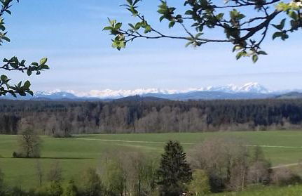 Ferienwohnung Birke - Foto 24