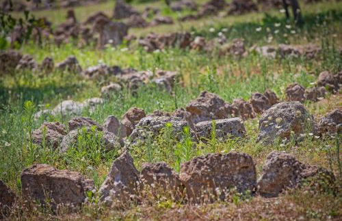 Torre Casciani - Foto 90