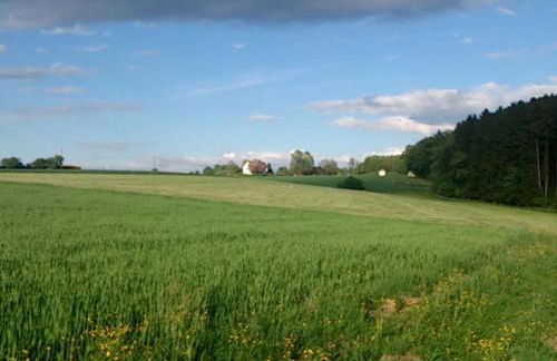 Apartment Fuchsbau Erdgeschoß by Interhome - Foto 15