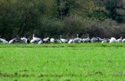 Le Logis des Ais - Foto 32
