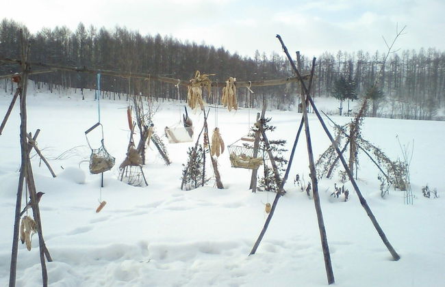 The Sanfurano - Foto 80