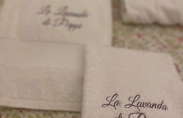 La lavanda di Poppi-mini appartamento - Foto 10