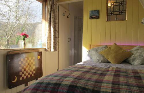 The Cabins Conwy - Foto 10