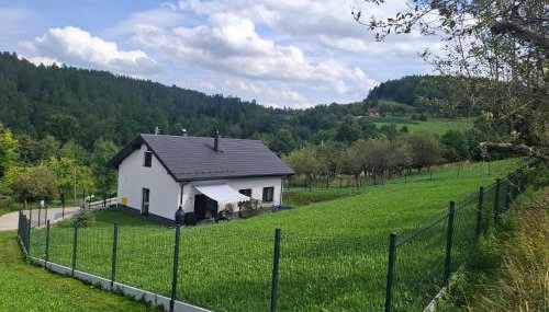 Dom Świerszczem Głośny - Foto 2