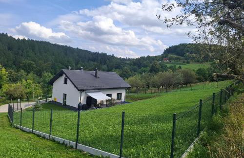 Dom Świerszczem Głośny - Foto 2