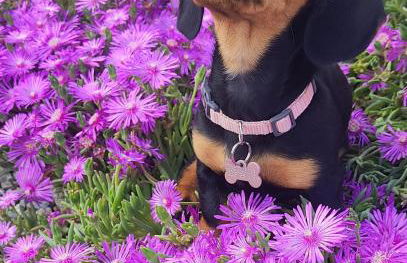 La Casa di Mia - Foto 1