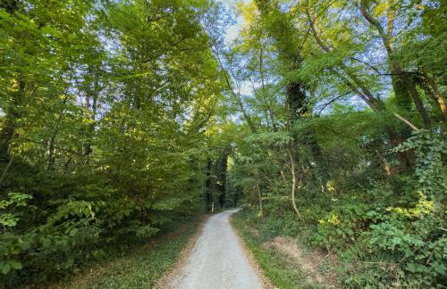 Luxury apartments Villa Wood NEW - Foto 54