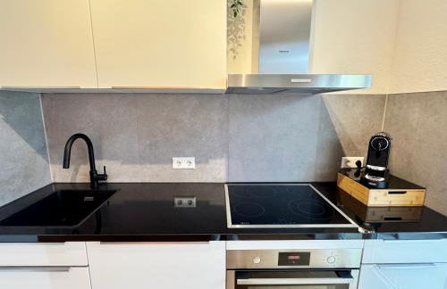 Renaissance Boutique Apartment - Bad Krozingen - Foto 31