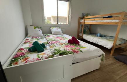 Au gré des oiseaux - Photo 22