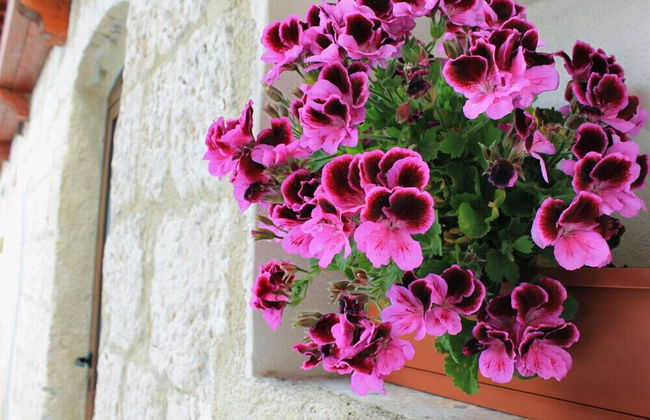 Tenuta Lanza Il Mulino - Photo 31