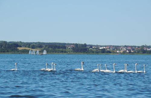 Apartament Babitonga I - Photo 72