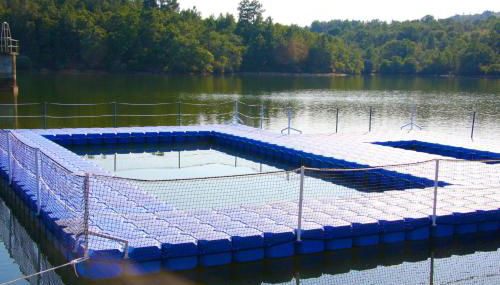 Casa Duas Fontes - Foto 4