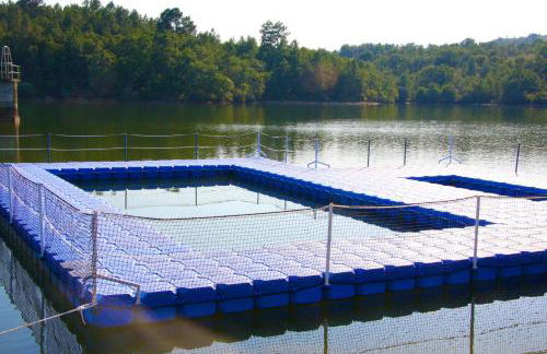 Casa Duas Fontes - Photo 4