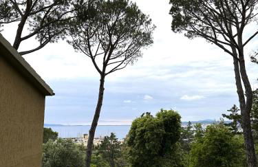 Appartamenti Portiglioni-Belvedere - Photo 53