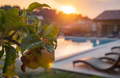 Villa in Provence with Infinity Pool - Foto 47