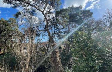 Westbourne Alum Chine Loft apartment - Photo 39