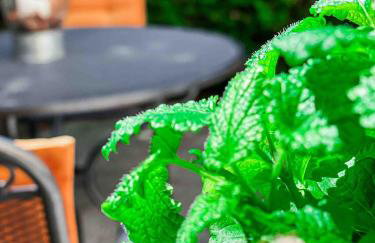 Ferienwohnung Poseidon - Foto 25