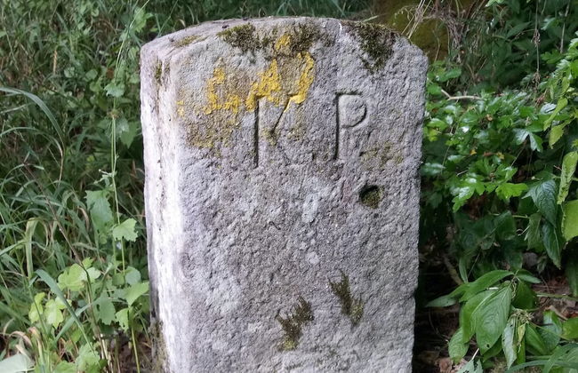 Charming Holiday Home With Natural Garden in Kaltennordheim-thuringia - Foto 57