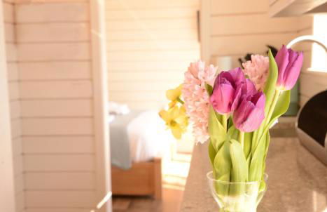 Toradh Cabin - Photo 11