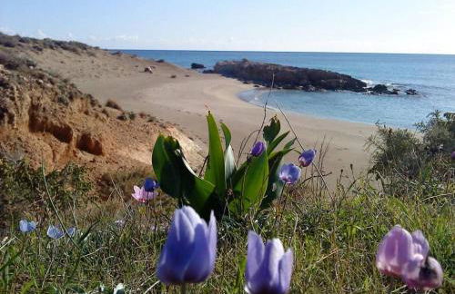 Tania village Zakros maisonette - Foto 67