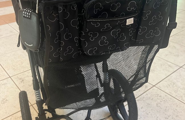 Free Parking Disney Shuttle - Foto 37