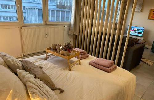 LeRelaisdOdile - Studio Cosy - Proche Metro - Parking Gratuit - Mons-en-Barœul - Foto 25