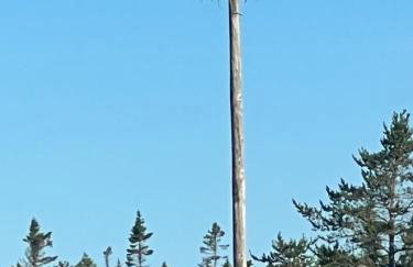 Sand Cove House - Foto 9