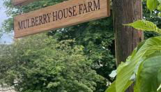 Mulberry House Farm The Garden Room - Foto 2