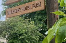 Mulberry House Farm The Garden Room - Foto 2