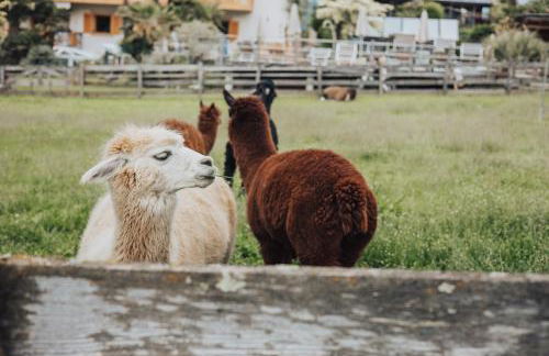 Residence Hoferhof - Foto 40